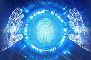 網絡科技領域內的技術開發(fā)與法律規(guī)制